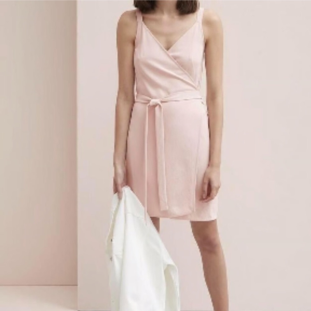 Everlane Blush Pink Mini Wrap Dress